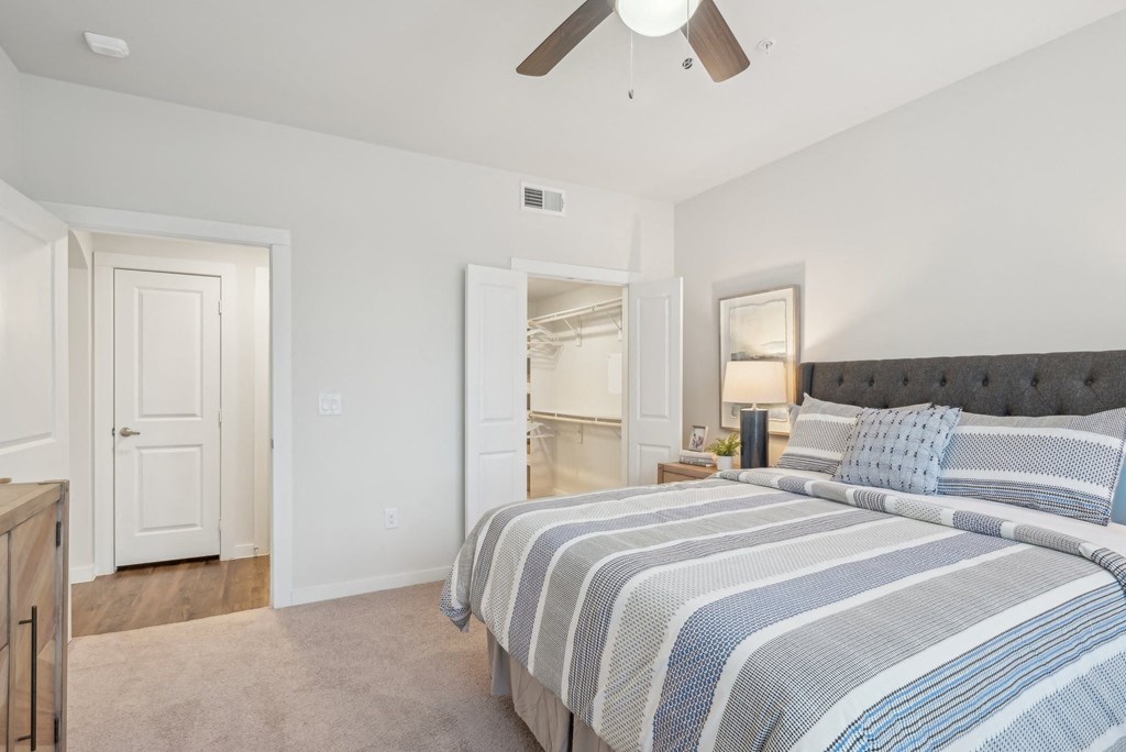 Luxia Rockwall Downes