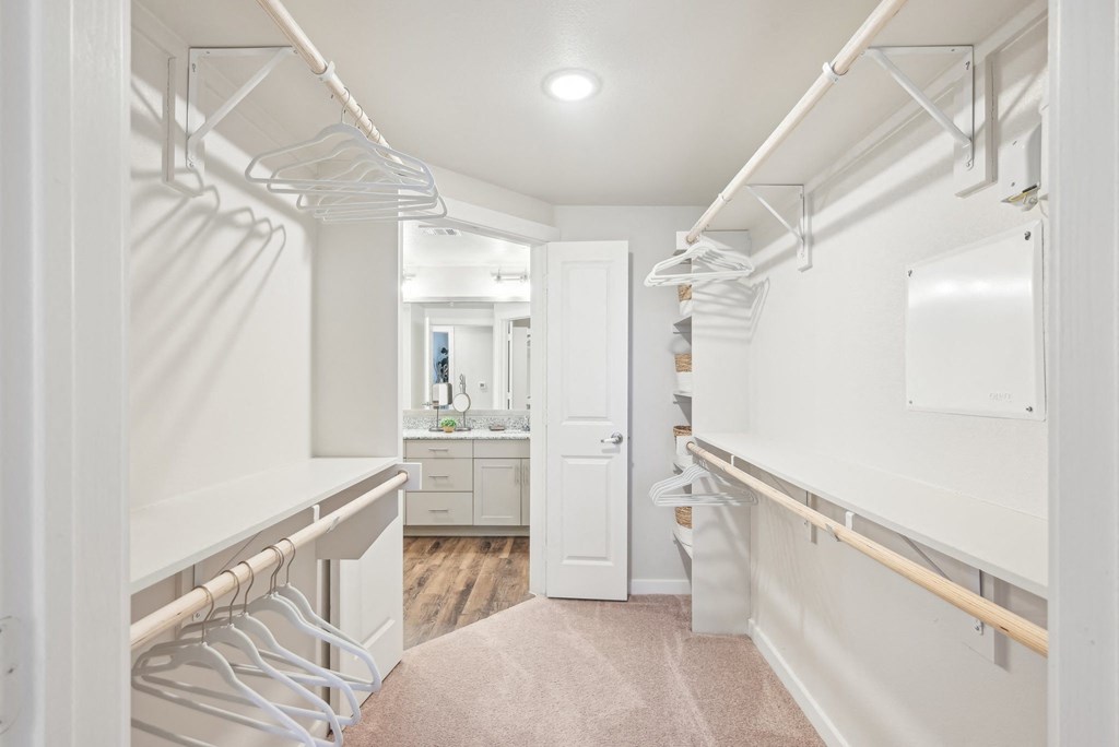 Luxia Rockwall Downes