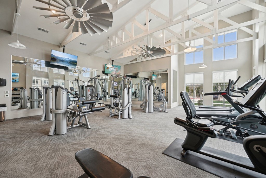 Luxia Rockwall Downes