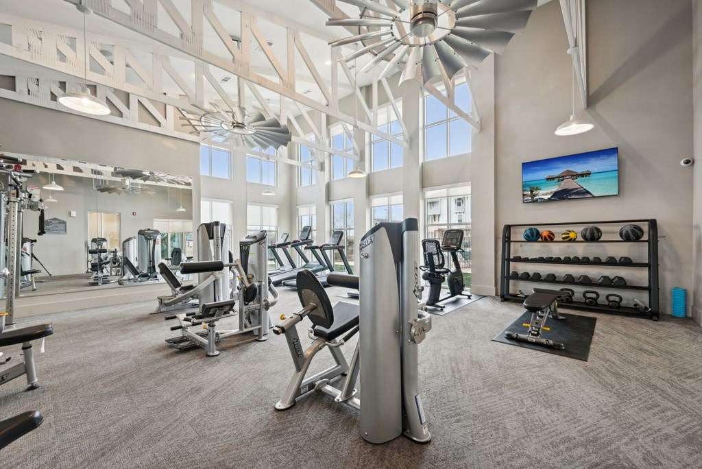 Luxia Rockwall Downes