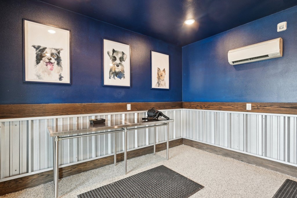 Luxia Rockwall Downes