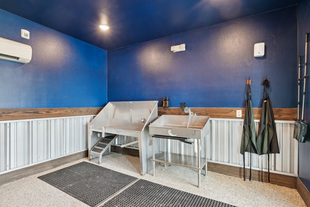 Luxia Rockwall Downes