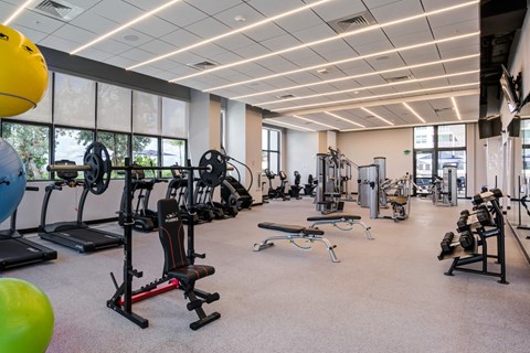 Apartments Miami FL - MB Station Fitness Center With Weight Machines, Free Weights, and Cardio Machines