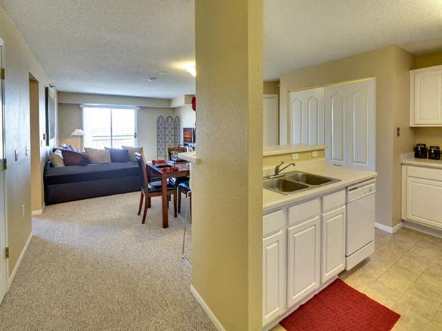 Lots of natural light in apartment