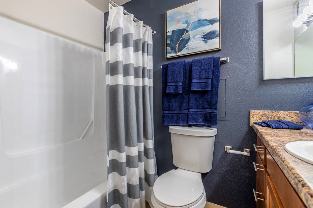 Bathroom with tub and shower at Midtown on Seneca, a pet-friendly apartment community near East Central Tucson, Tucson, AZ.