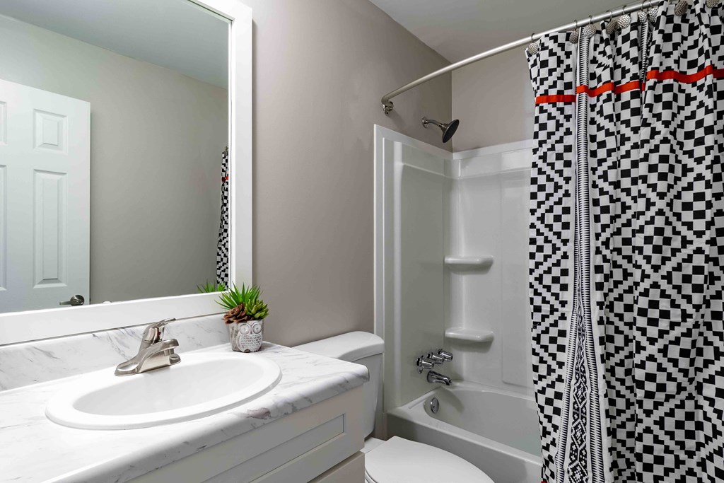 Mirador at Peachtree Apartments photo of bathroom with shelving in shower
