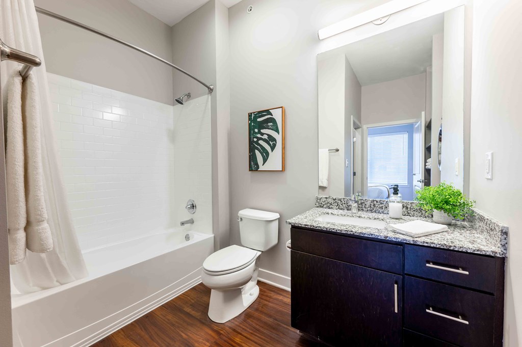 a bathroom with a shower toilet and sink and a mirror