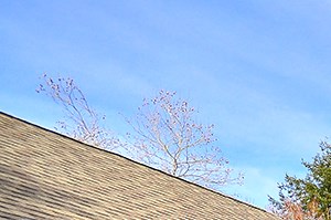 Apartments for Rent Bothell WA - North Creek Heights - BBQ Area near Pool with Grilling Station, Tables, Chairs, and Umbrellas