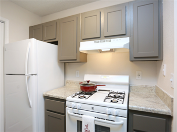The Falls at Sope Creek Marietta Georgia photo of Shaker Style Cabinets in specific apartments - Photo Gallery 2