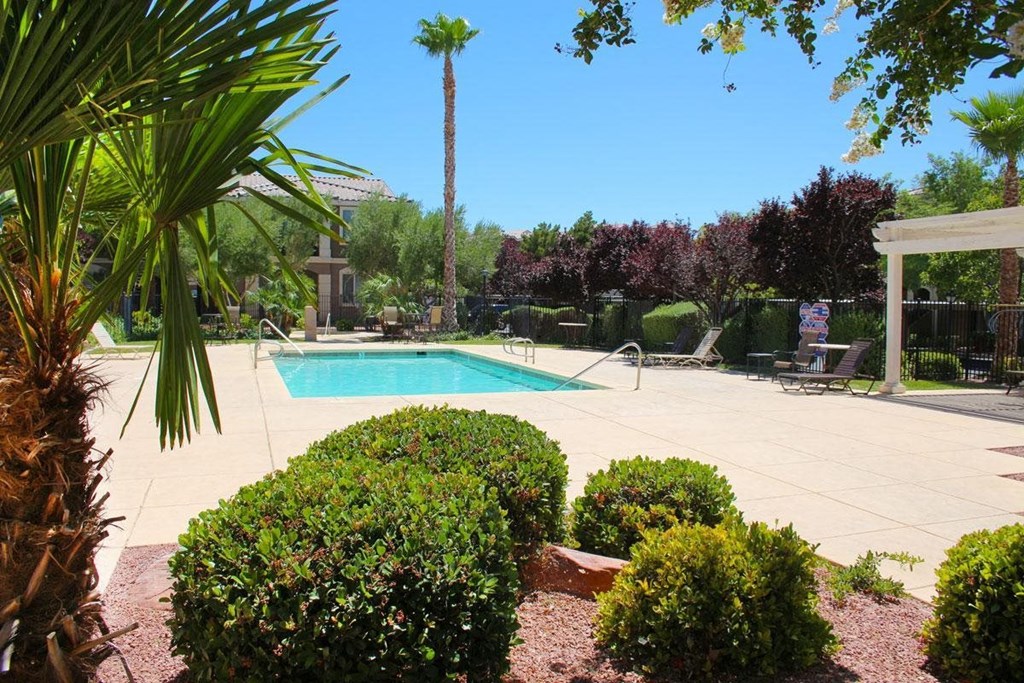 a swimming pool in a backyard with a palm tree