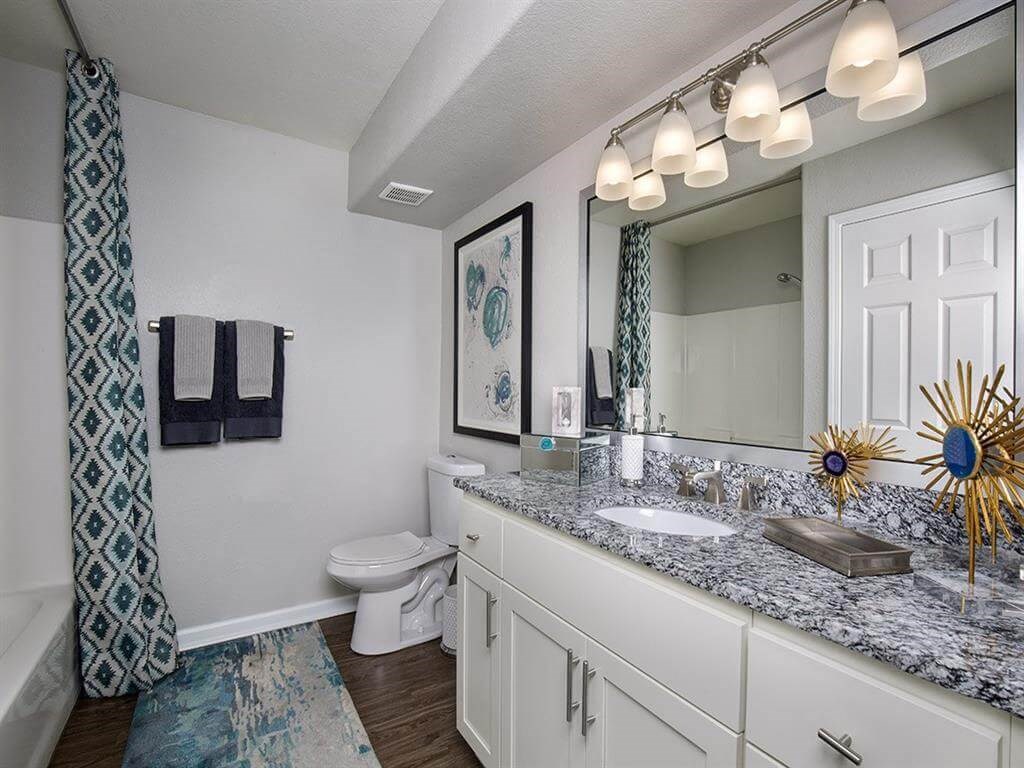 Spacious Master Bathroom