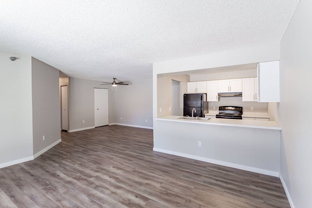 open living room and kitchen space
