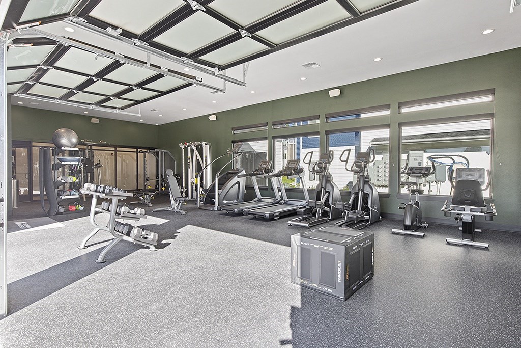 a spacious fitness center with treadmills and other exercise equipment,