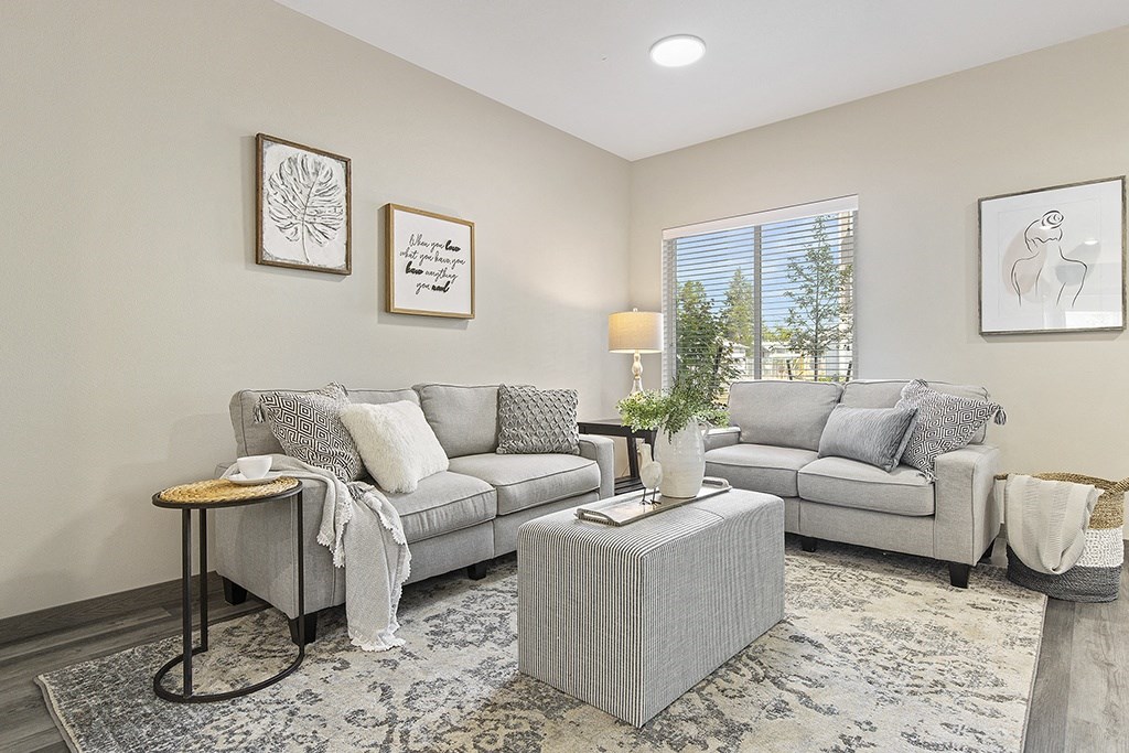 an inviting living room with couches and a rug,