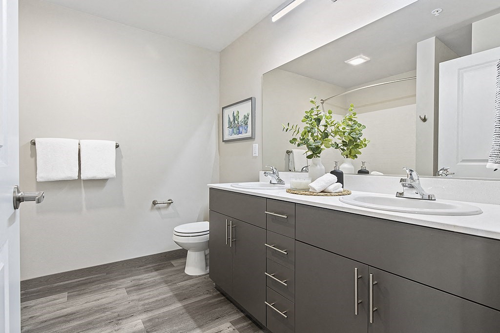 a bathroom with a sink and a toilet,