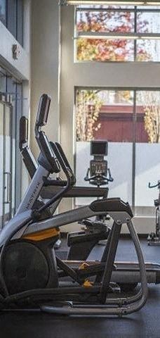 fitness center- cardio machines, weighted machines