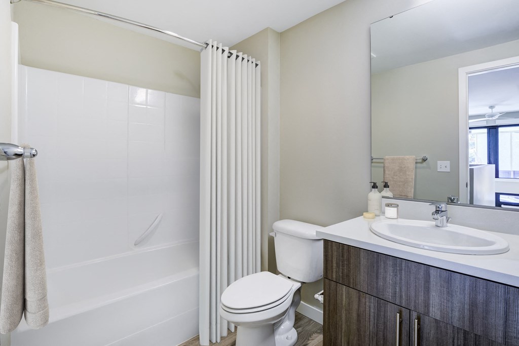 a bathroom with a shower toilet and sink and a mirror