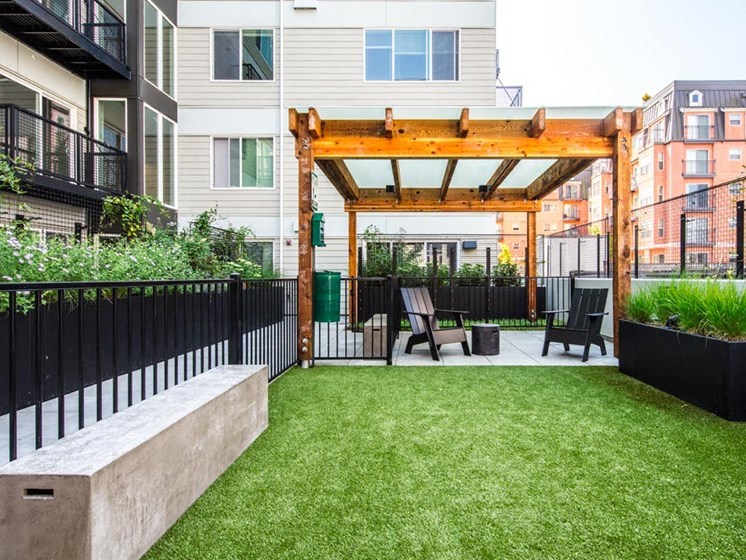 Open air courtyard with spacious dog park and pergola