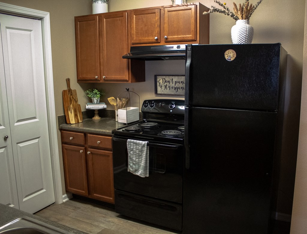 Pet-Friendly Apartments in Sevierville, TN - Overlook at Allensville - Kitchen with black appliances and cabinets