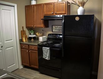 Overlook at Allensville apartments in Sevierville, TN photo Kitchen with black appliances