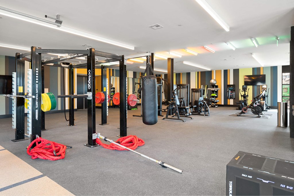 A gym with a variety of equipment including a weight rack, a squat rack, a bench press, a rowing machine, a treadmill, a stationary bike, a kettlebell, a medicine ball
