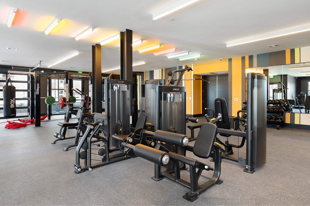 A gym with a variety of equipment including weights and machines.