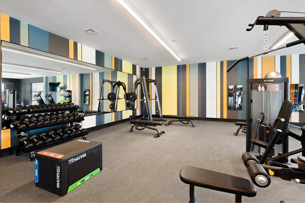 A gym with a variety of equipment including dumbbells, weight machines, and a bench.