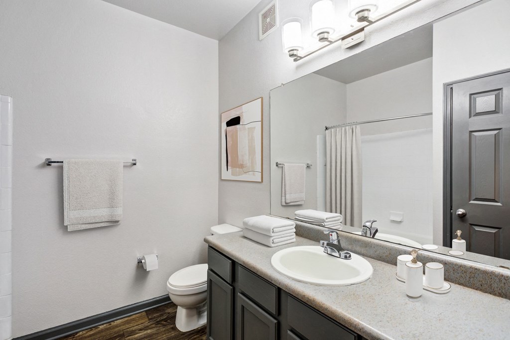 Parc at Metro Center Apartments near Salemtown, TN photo of a bathroom with a mirror and a sink and a toilet