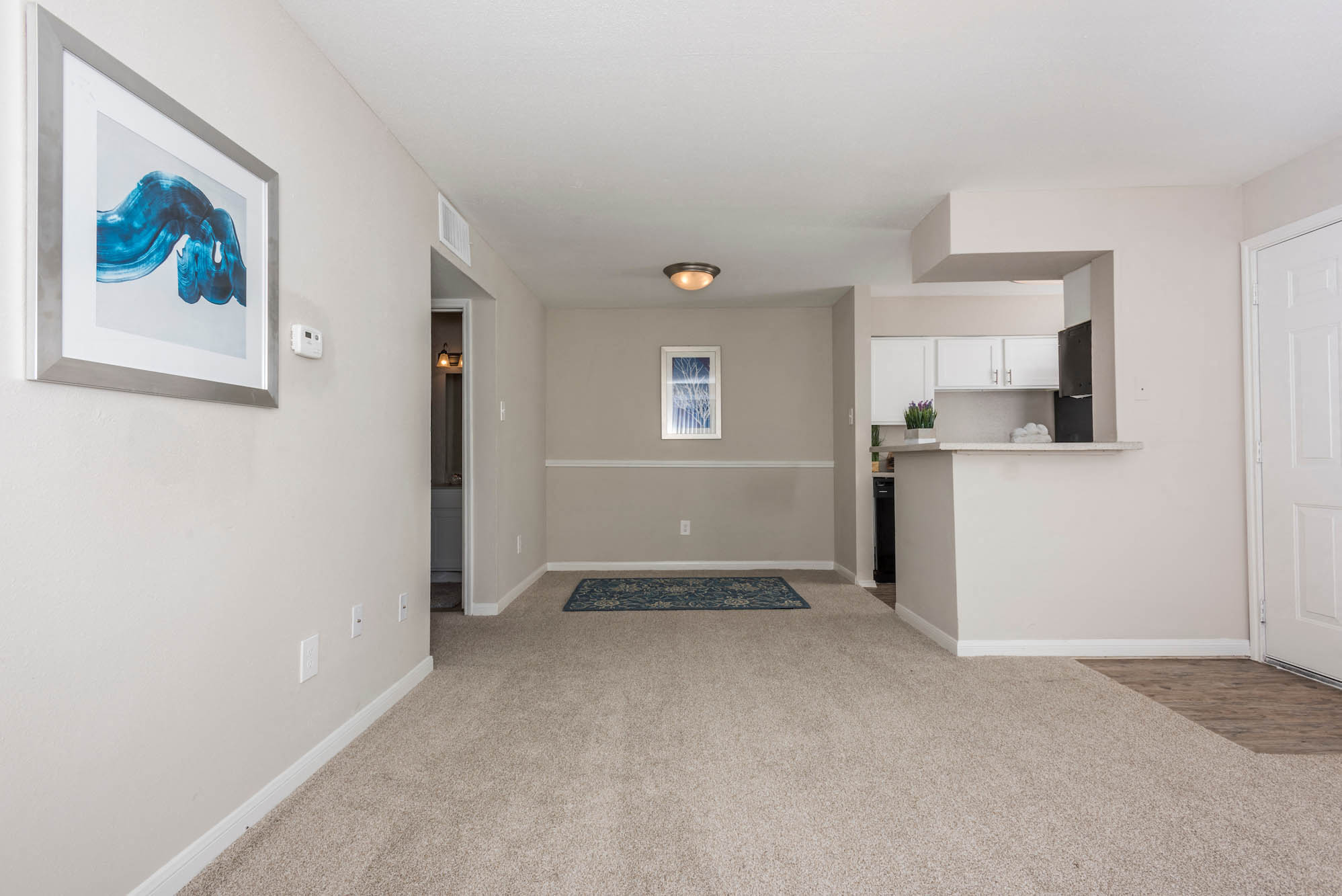 Cardio Fitness Center, Lush Carpeted Floors