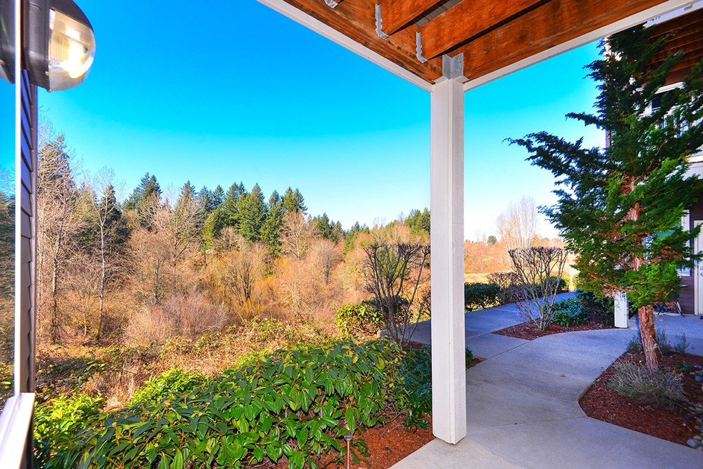 the view of the woods from the porch of a home