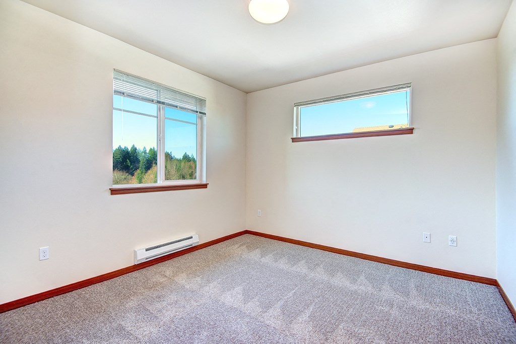 an empty room with two windows and a carpet
