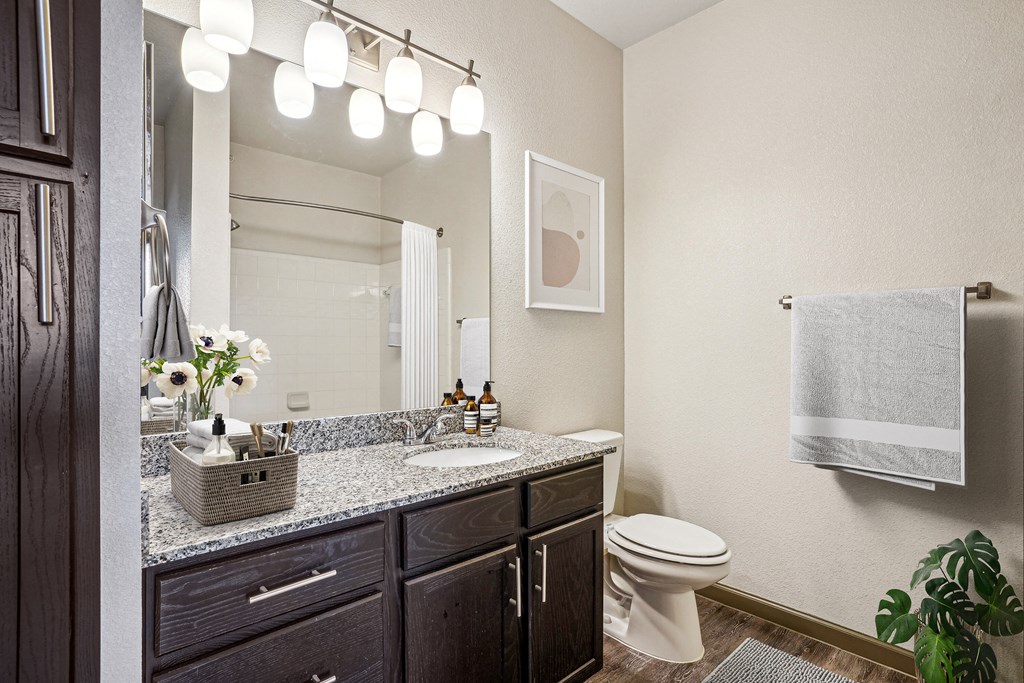Pet-Friendly Rentals in Bentonville, AR – Parc at Bentonville – A bathroom with a white toilet and a mirror above a sink.