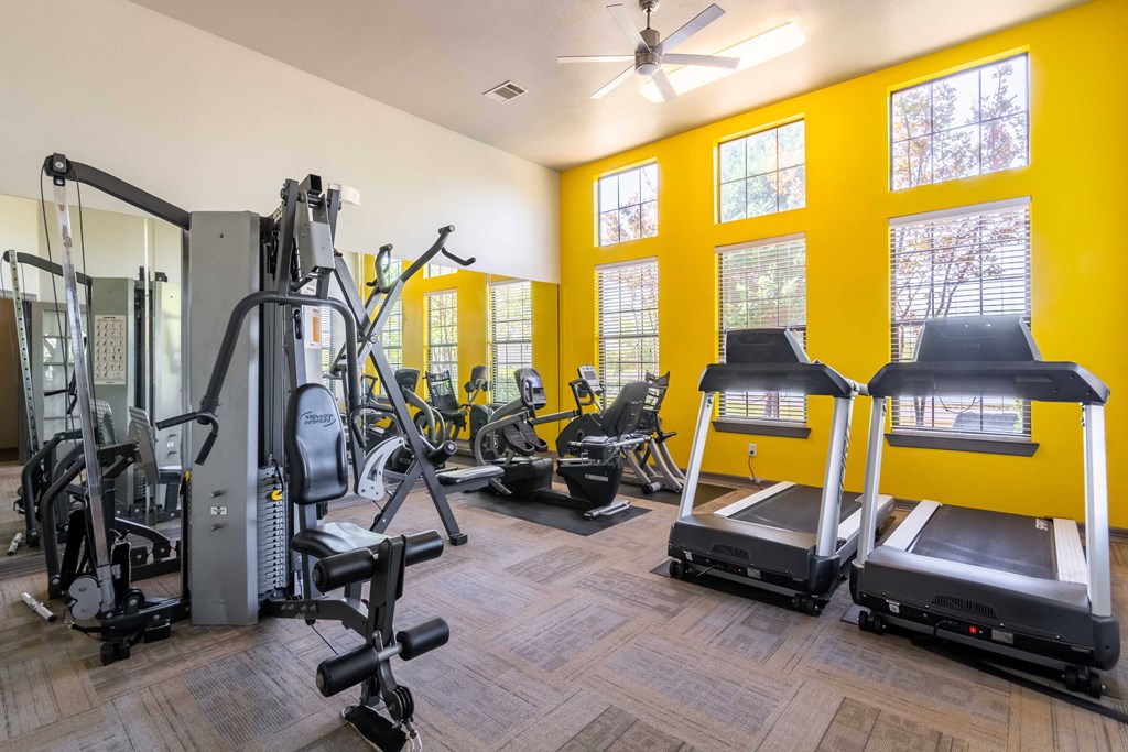 Apartments for Rent in Maumelle, AR 72113– Parc at Maumelle - gym with cardio equipment and lifting equipment surrounded by windows