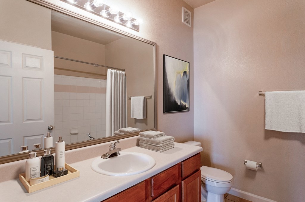 Pet-Friendly Apartments in Clarksville, TN - Parc at Clarksville - Bathroom with luxury vanity lighting and ample counter space