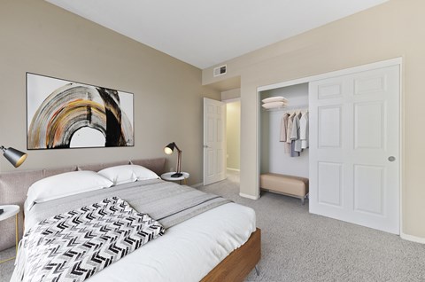 a bedroom with a bed and a closet