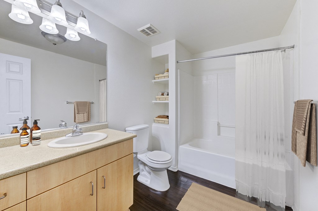 a bathroom with a shower toilet and sink and a mirror
