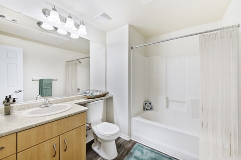 a bathroom with a shower toilet and sink