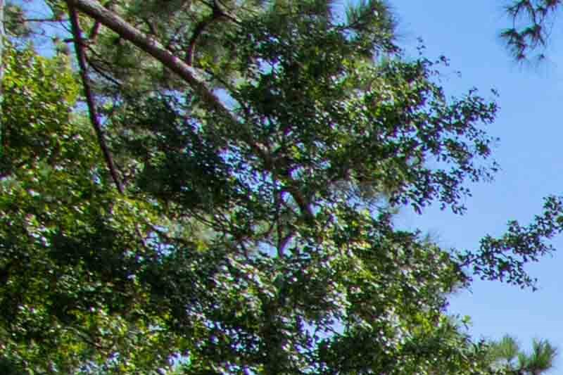 2170 Benton Blvd Studio-3 Beds Apartment for Rent - Photo Gallery 1