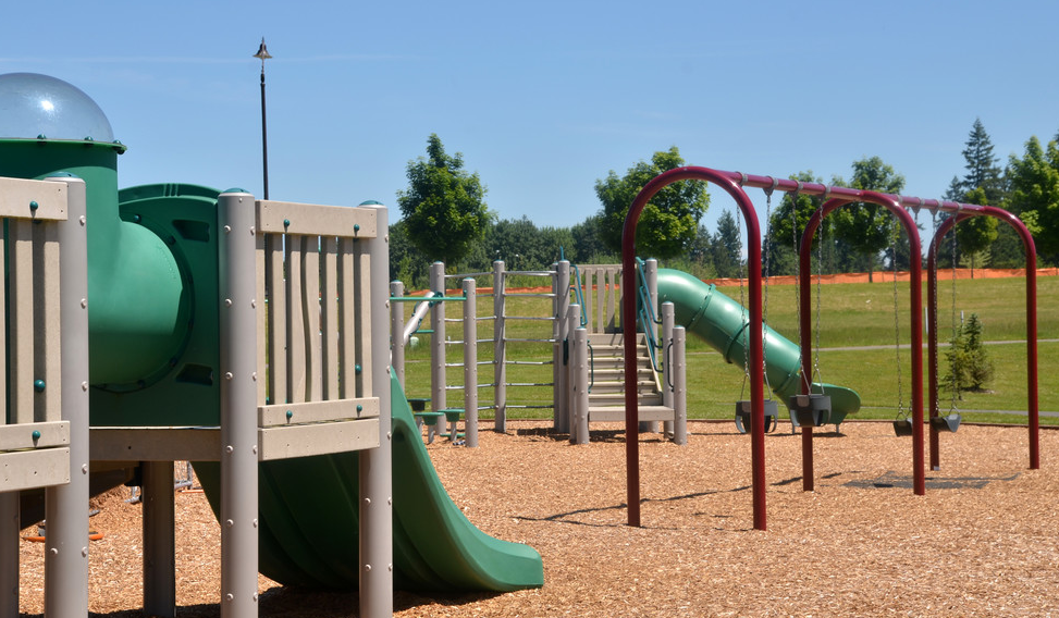 a playground with a slide and monkey bars in a park