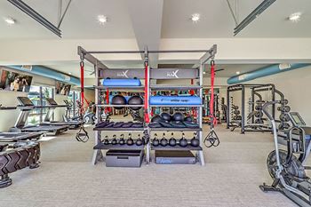 a gym with weights and cardio equipment on a rack