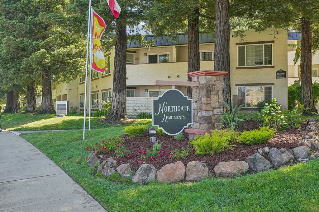 our apartments are located in the heart of the city