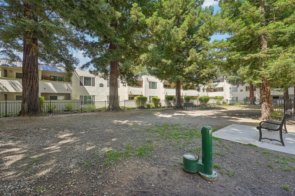 a park with trees and a bench in front of an apartment building