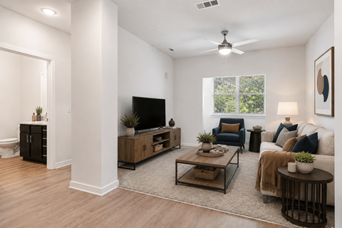 A living room with a television, couch, and a rug.