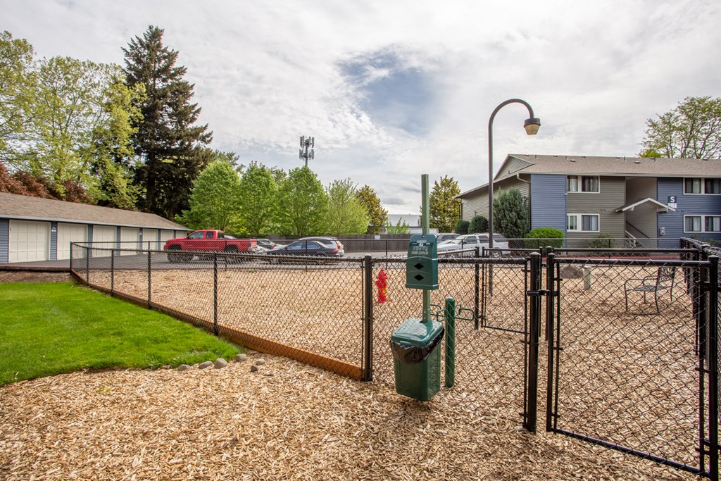 the preserve at ballantyne commons dog park