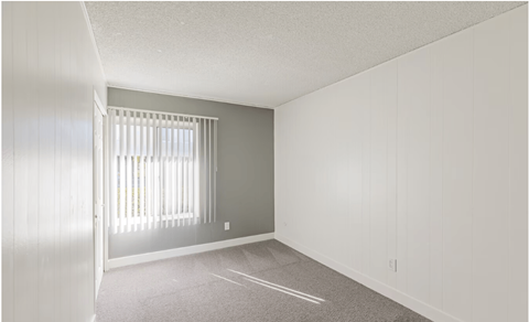 One-Bedroom Apartments in El Cajon, CA - Ivanhoe Village - Carpeted Bedroom with a Grey Accent Wall, and a Large Window.