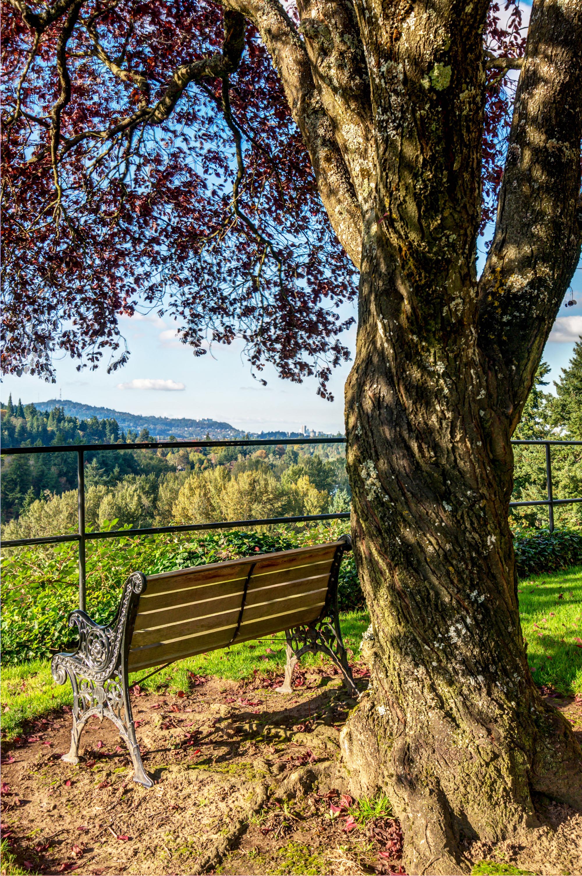 plenty of green spaces