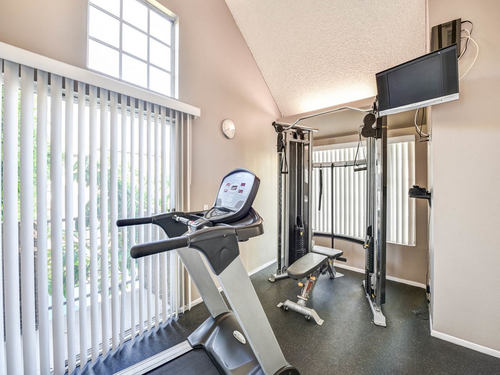 a gym with weights and a tv in the corner of a room