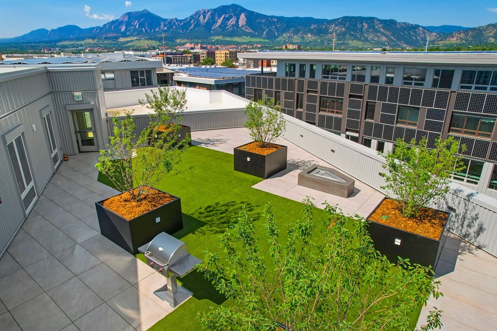 an aerial view of Platform's rooftop garden with trees and a hot tub