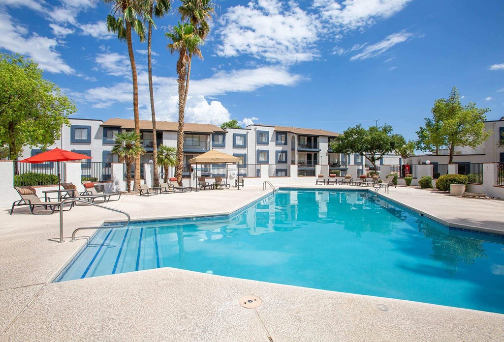 our apartments have a large swimming pool with palm trees