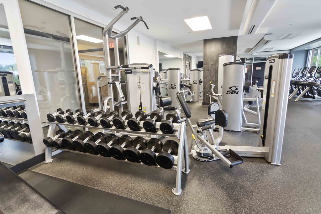 fitness center with free weights